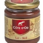 CÔTE D'OR chocopasta melk (300g)