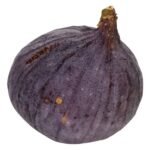 VERSE VIJGEN per stuk