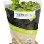 TUERLINCKX waterkers vers (zakje)