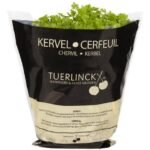 TUERLINCKX kervel vers (zakje)