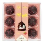 VANDENBULCKE petit melo puur frambo. (85g)