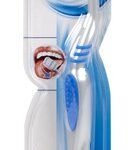 SIGNAL tb Classic Fresh hard (1st)