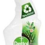 DETTOL tru clean eucalyptus spray (500ml)