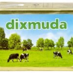 DIXMUDA melkerijboter ongezouten (250g)