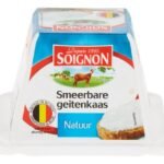 SOIGNON pyramide geitenkaas natuur (150g)