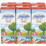 JOYVALLE volle melk brik (6x20cl)